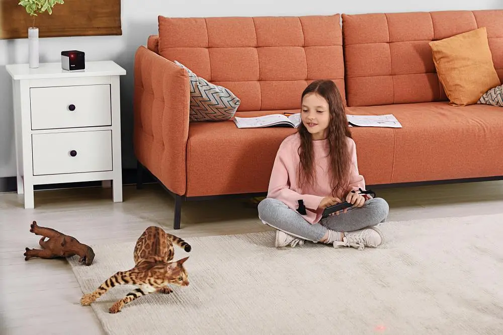 Компактная HD-камера Petcube Play 2 (PP20US) - фото 6