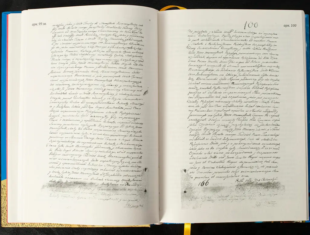 Вінницький ґродський суд. Поточна актова книга за 1769 – 1770 роки. Подокументний опис - Олександр Петренко - фото 7