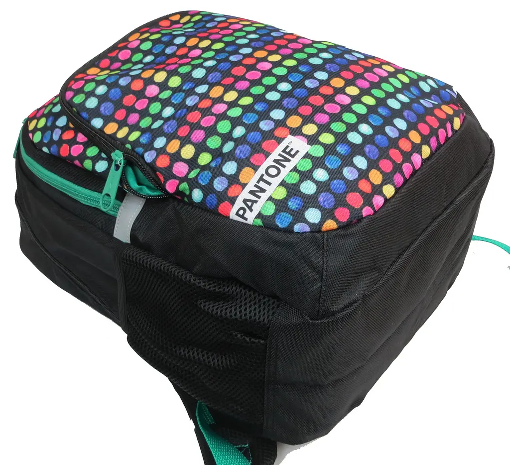 Рюкзак молодіжний Paso 00-699PAN 22L Різнокольоровий - фото 9