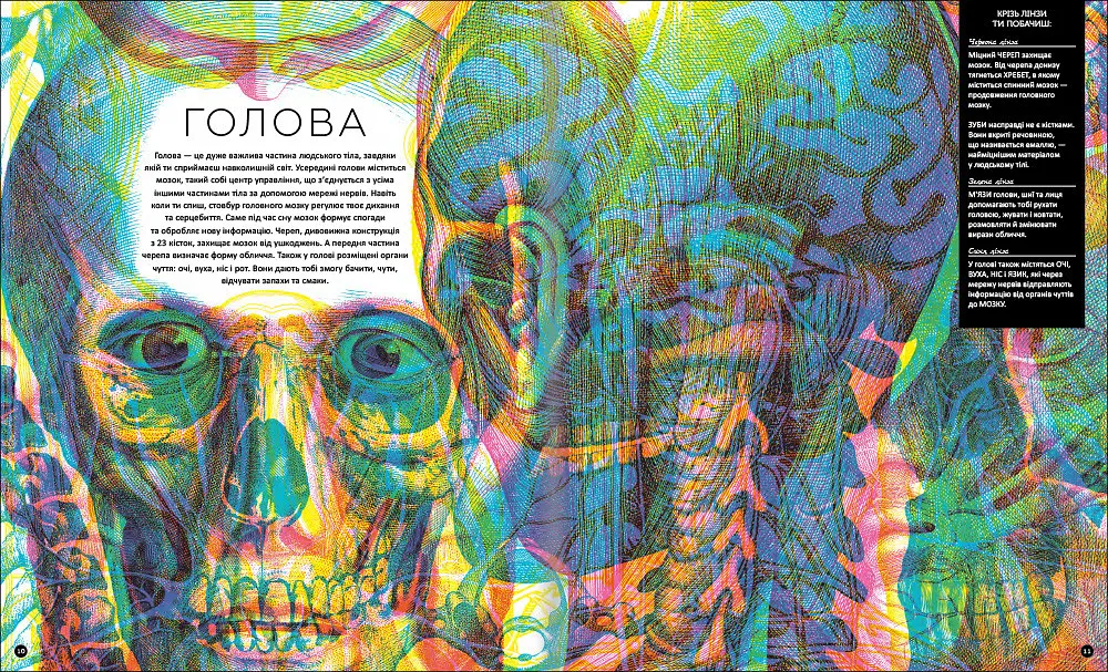 Прихований світ людського тіла. Автор Кейт Девіс - фото 6