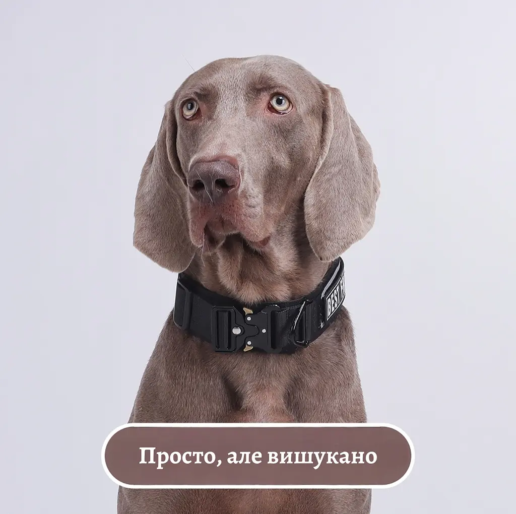 Нашийник для собак Woofy, нейлоновий з металевою пряжкою-фастекс, світловідбиваючий, чорний, XL - фото 8