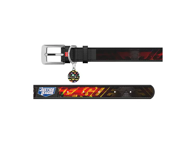 Ошейник для животных WAUDOG Design с QR паспортом "Лига справедливости" Ш 12 мм Д 18-24 см черный (0012-1010-01) - фото 3