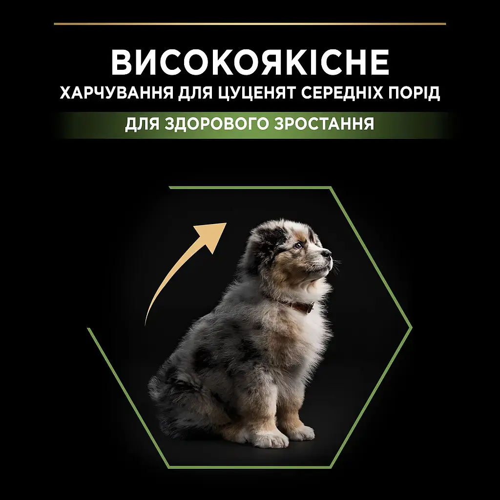 Сухий корм для щенят Purina Pro Plan Dog Medium Puppy з високим вмістом курки 12 кг 12375807 - фото 6