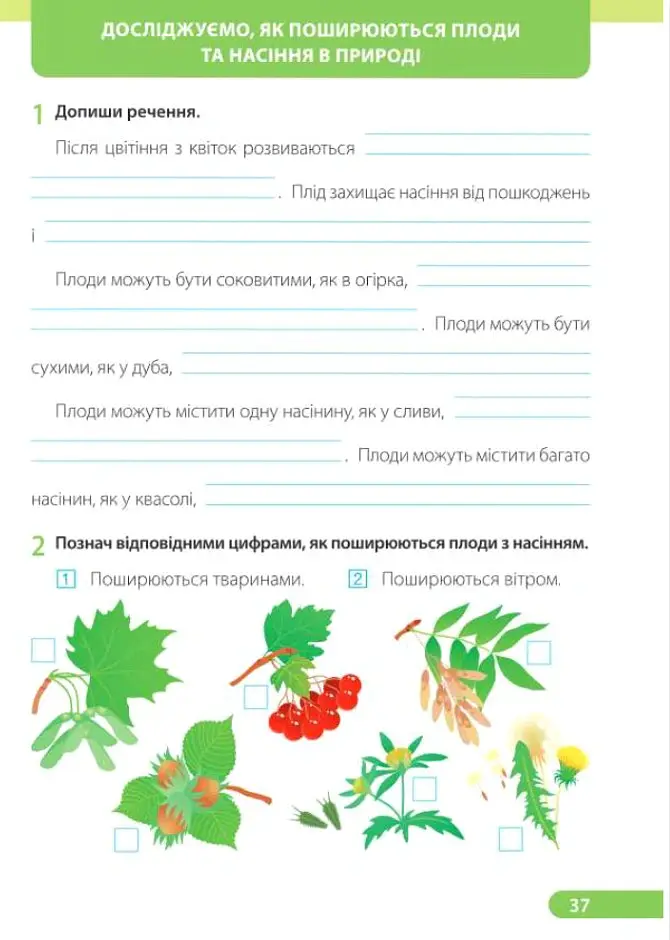 Я досліджую світ. Робочий зошит. 2 клас. У двох частинах. Частина 1 (до підручника І. Жаркової) - Лариса Мечник - фото 14