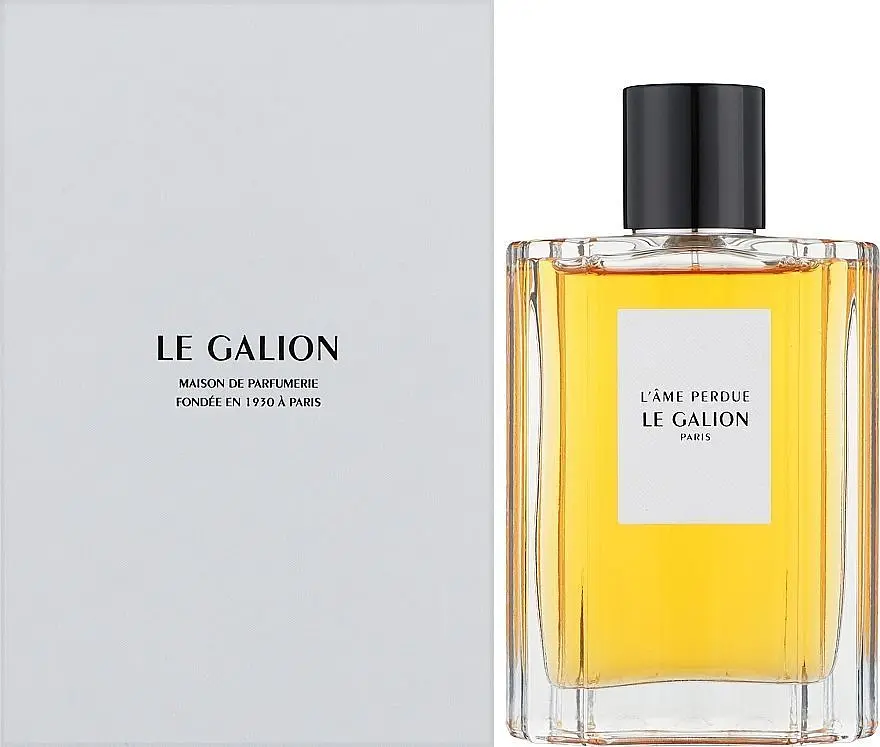 Парфюмированная вода Le Galion L'ame Perdue 100 мл - фото 2