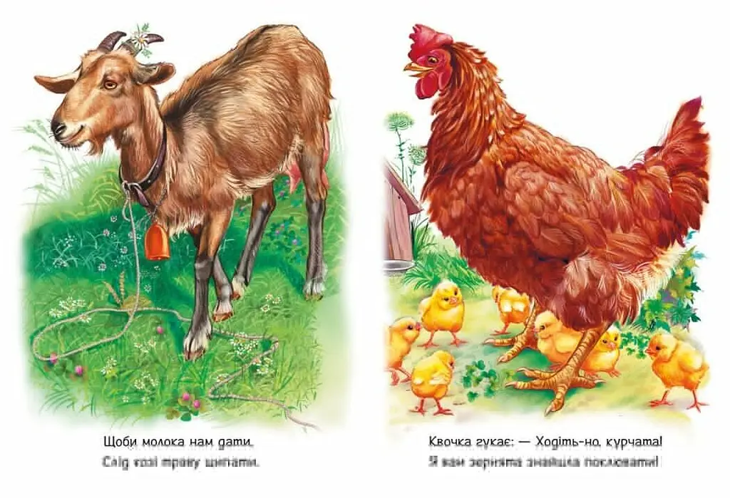 Книга Малятам про звіряток Збірник: Поруч з нами Ранок М212013У shop (9786170978738) - фото 3