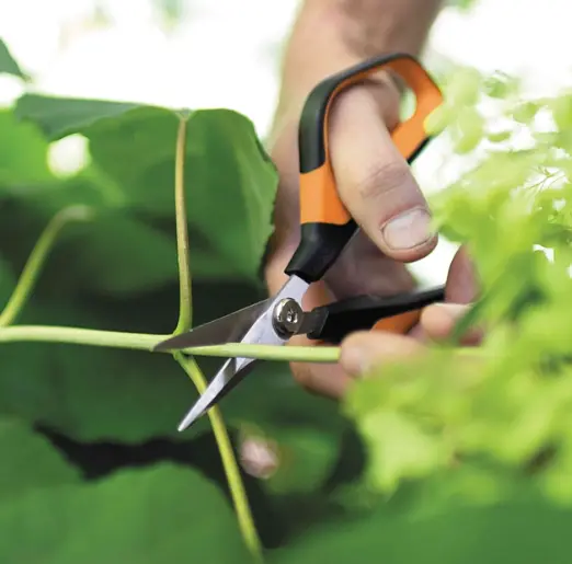 Ножиці для рослин і квітів Fiskars Solid ™ Softgrip SP15 1051602 - фото 7