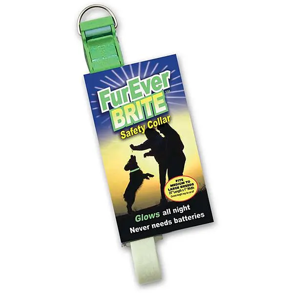 Нашийник Davis FurEver Brite Safety Collar для собак що світиться (FB.SC-M)