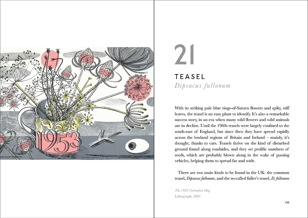The Book of Wild Flowers - фото 4