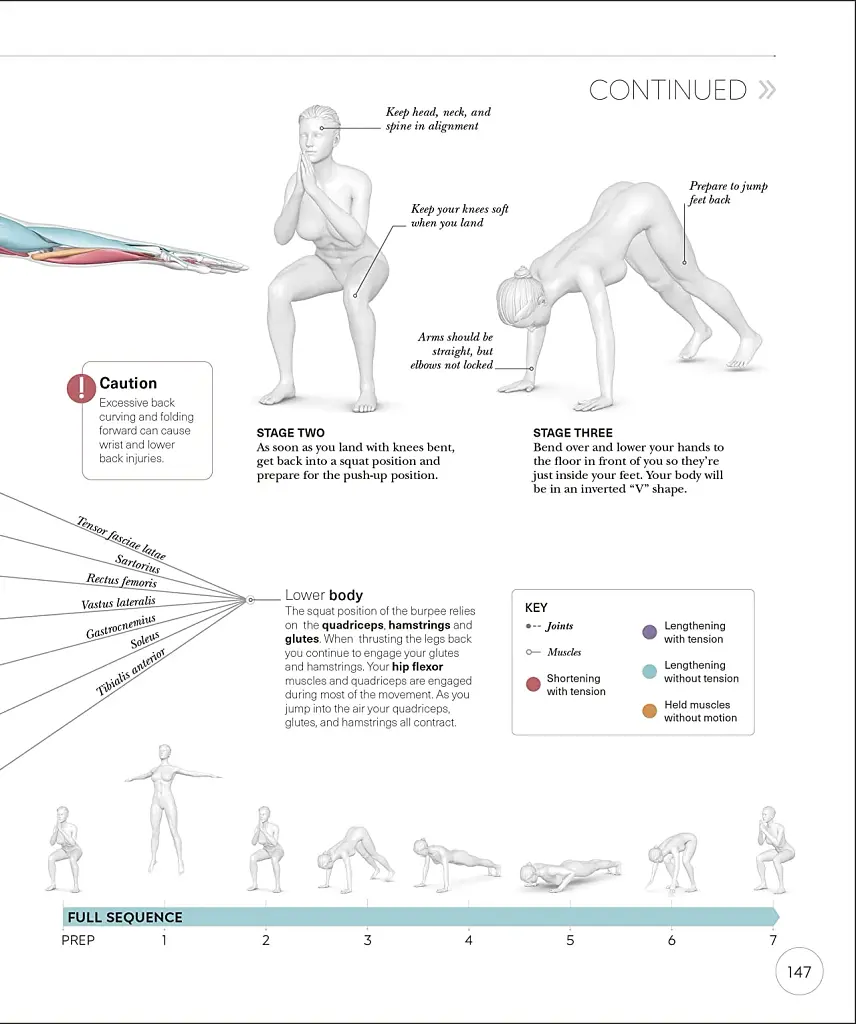 Science of HIIT - фото 14