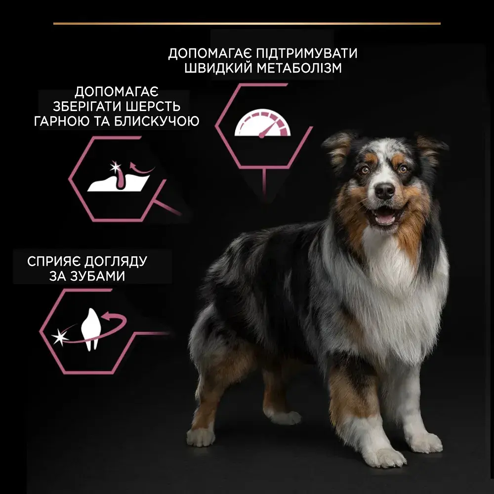 Сухий корм для щенят Purina Pro Plan Dog Medium Puppy з лососем та рисом 12 кг 12367295 - фото 6