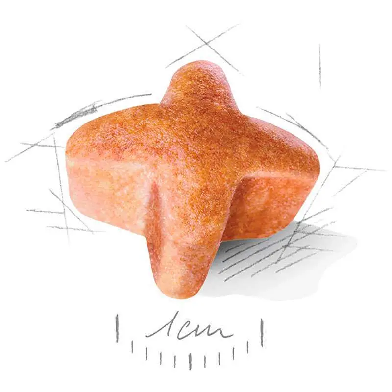 Сухий корм для собак породи Німецька вівчарка старше 5 років Royal Canin German Shepherd Ageing 5+, 12 кг (1340120) - фото 3