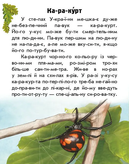 Читаю про Україну. Тварини степів - Юлія Каспарова - фото 6