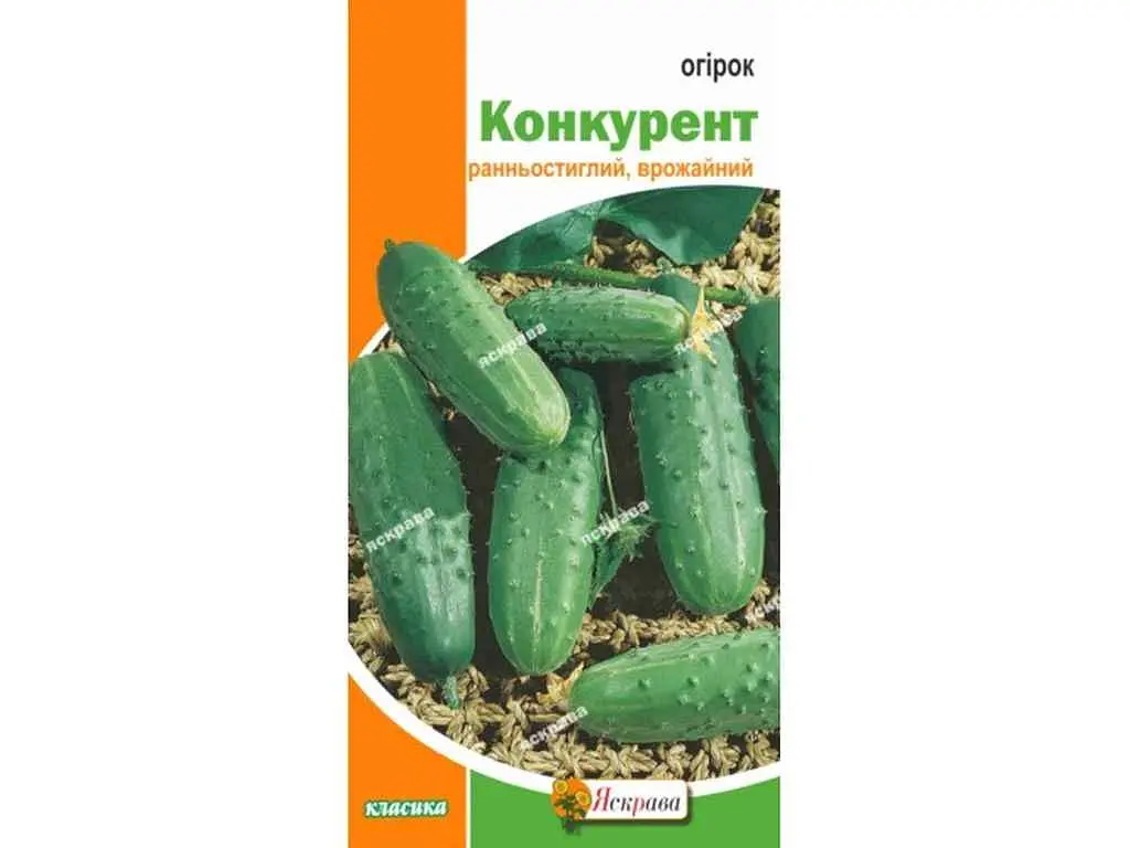 Огірок ЯСКРАВА Конкурент (20 пачок) 1 г