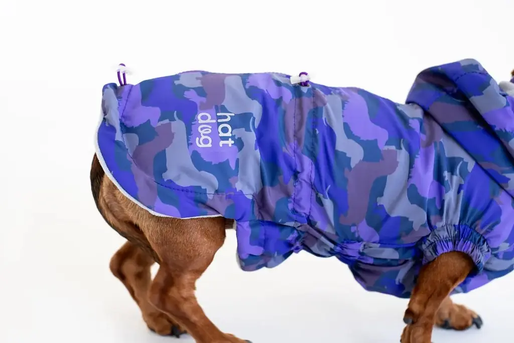 Вітровка для такс Hat-Dog Такса Муд (XS/Дівчинка) - фото 9