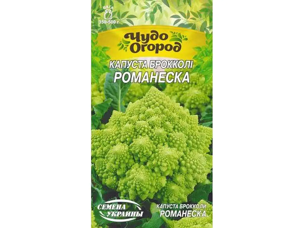 Капуста НАСІННЯ УКРАЇНИ Брокколі РОМАНЕСКА (10 пачок) 0,5 г
