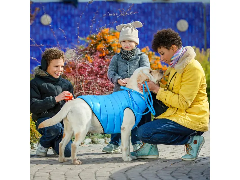 Курточка для животных Airy Vest двусторонняя M 47 чёрно-голубая (1893) - фото 5