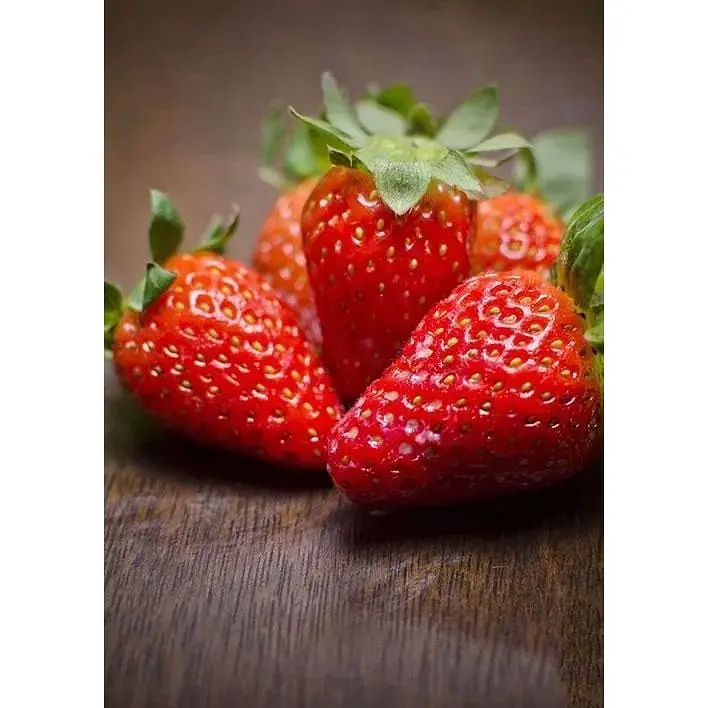 Саджанець Agro-Market Полуниця Вікторія 5шт (ремонтантний сорт) (37303) - фото 5