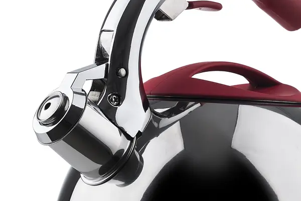 Чайник Ringel Single, 2.5 л (6408824) - фото 4