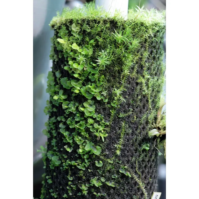 Тропічна бавовна Repti-Zoo Plant Cotton XL 59x44 см (YZM001) для моху і рослин у тераріум - фото 7