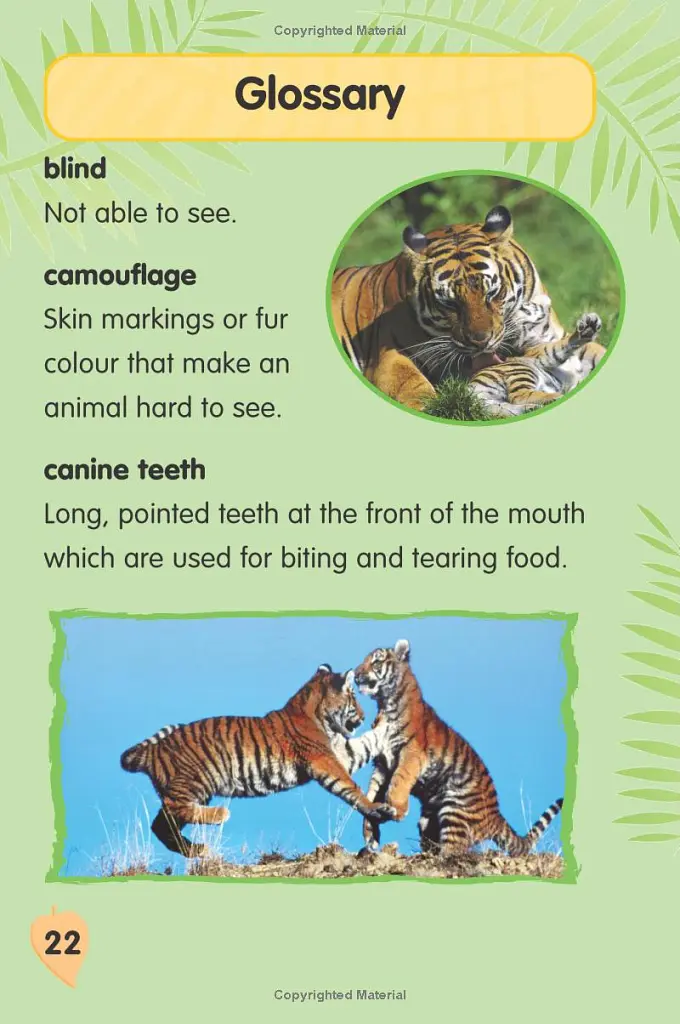 I Love Reading. 550 Words. Tiger! - Monica Hughes - фото 7