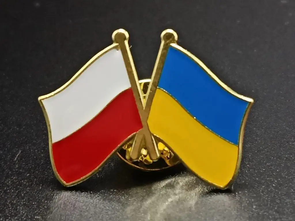 Подвійний значок-пін «Україна – Польща» 25 × 19 мм (00005) - фото 2