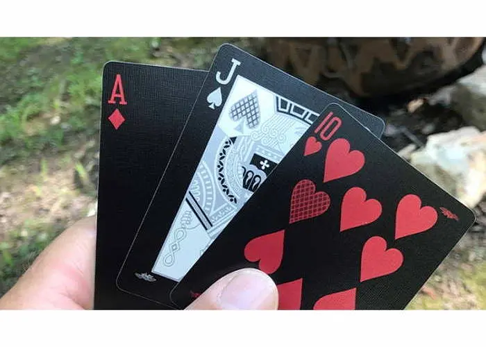 Карти гральні United States Playing Card Company Bee Silver Stinger (02533) - фото 4