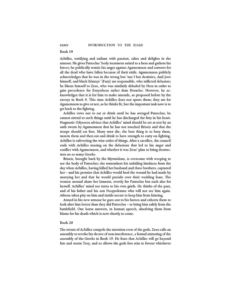 The Iliad and the Odyssey - фото 26