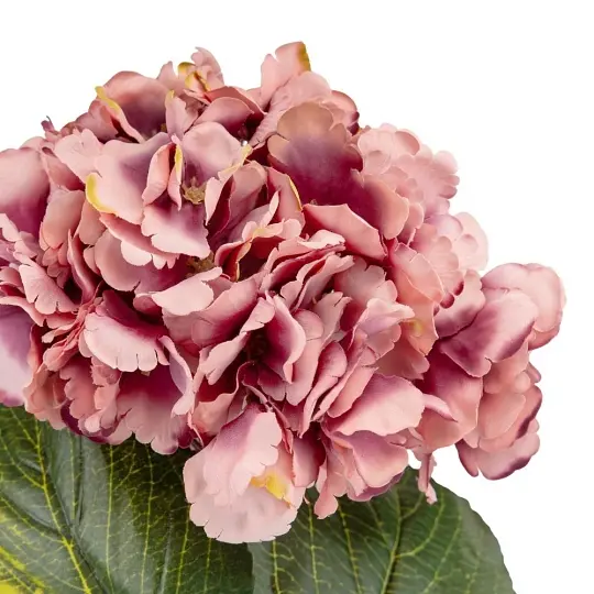 Квітка штучна Elisey Гортензія благородна 72 см рожева (2000-007C1PK)     - фото 2
