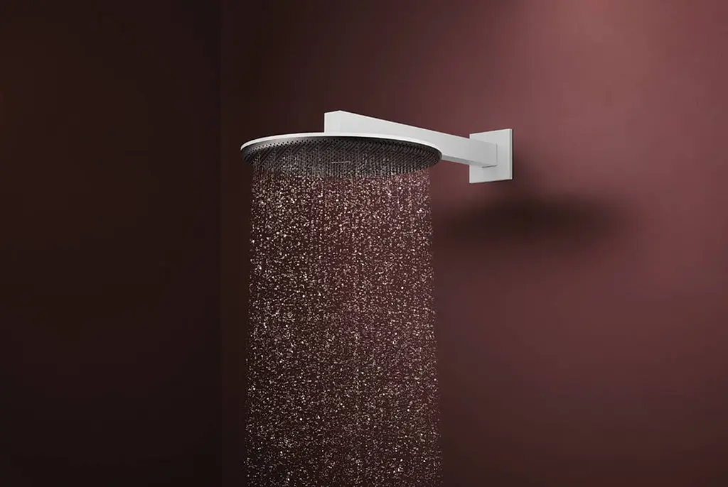 Верхній душ Hansgrohe Raindance Alive S 300 2jet EcoSmart з тримачем matt white 24541700 - фото 2