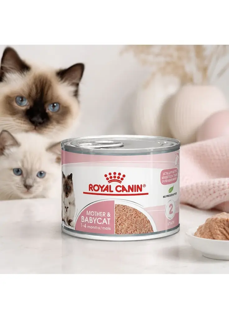 Вологий корм для кішок та кошенят Royal Canin Mother & Babycat Ultra soft mousse ніжний мус 195 г - фото 2