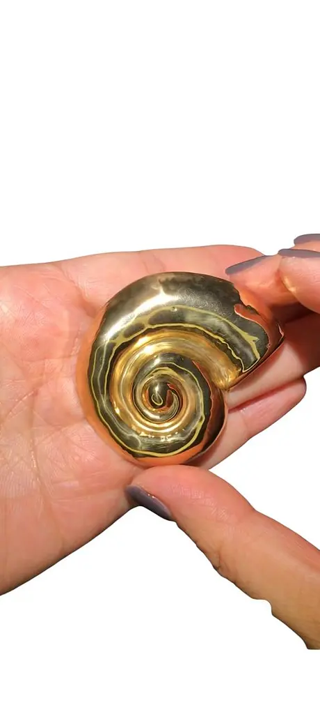 Брошь Ракушка (49469312) - фото 4