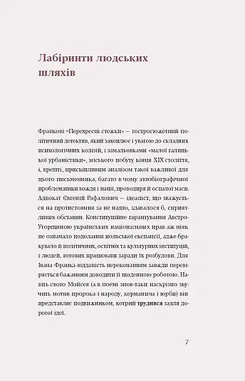Перехресні стежки - Іван Франко - фото 6