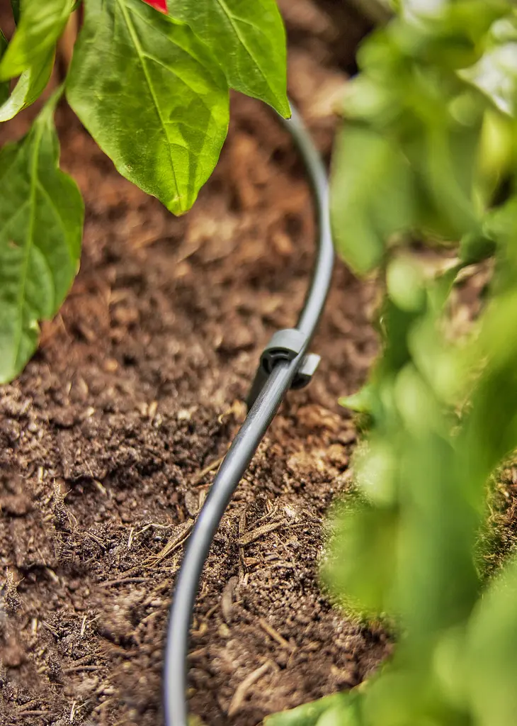 Шланг магістральний Gardena Micro-Drip-System 4,6 мм, 50 м (01348-20) - фото 2