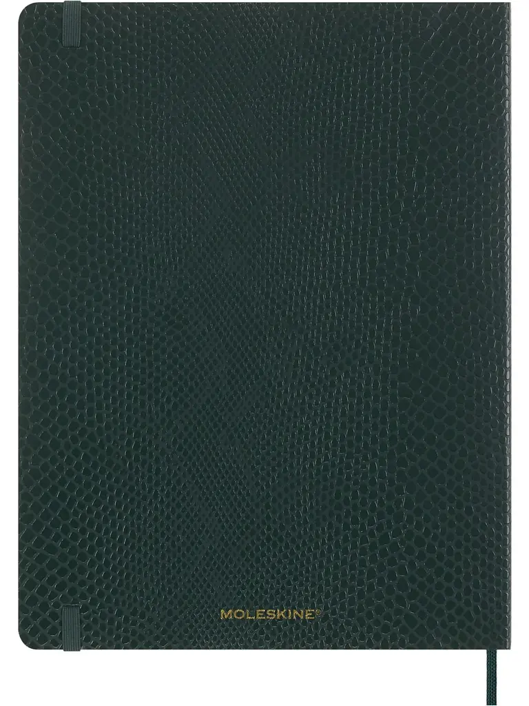 Записник Moleskine Precious & Ethical великий, Лінійка Зелений м?який + бокс (QP621K54VBOABOX) - фото 5