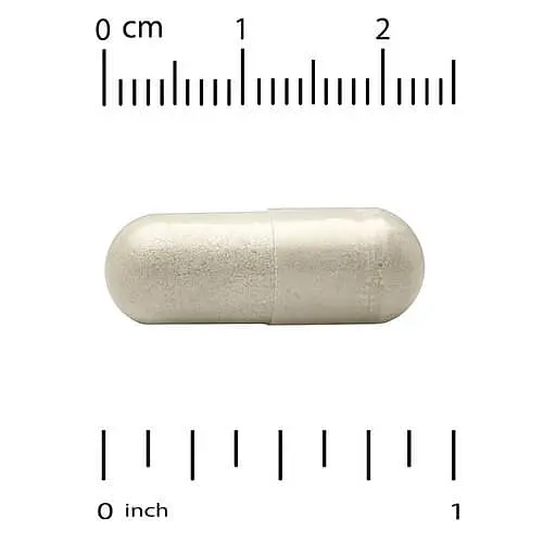 Поддержка щитовидной железы Thyroid Support 60 Capsules CGN vit0005131 - фото 3
