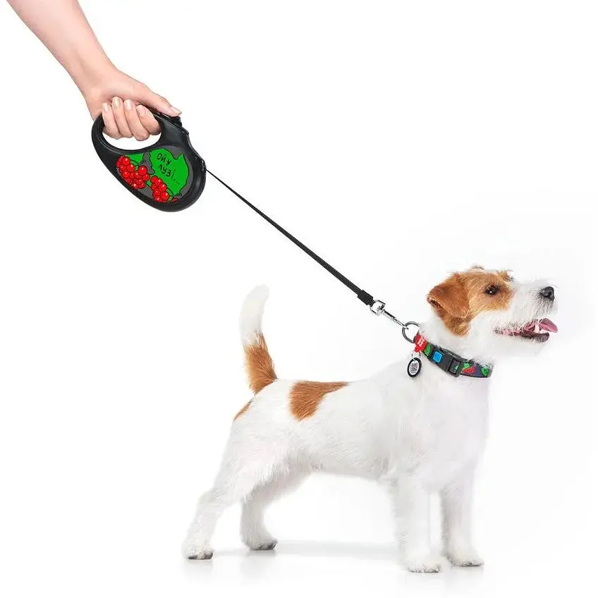 Повідець-рулетка для собак Waudog R-leash, малюнок "Калина", S, до 15 кг, 5 м, світловідбиваюча стрічка чорний - фото 7