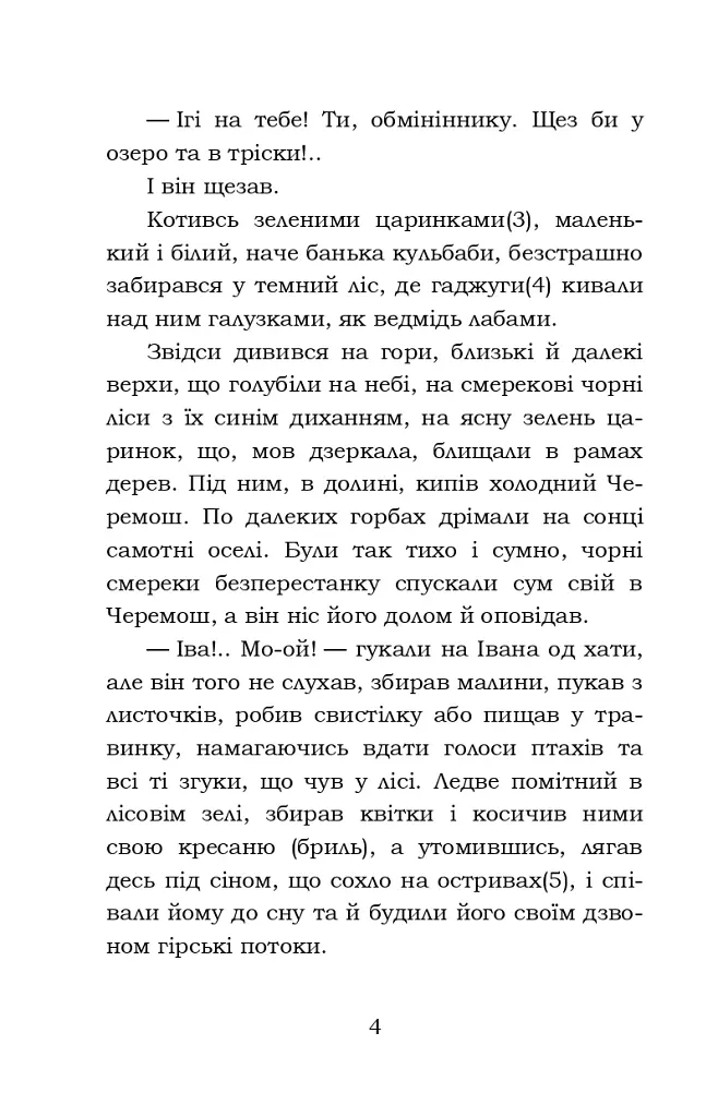 Тіні забутих предків. Intermezzo. Дорогою ціною - фото 4