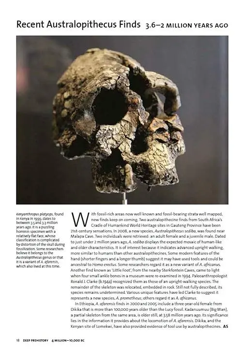 Archaeology. The Whole Story - фото 2