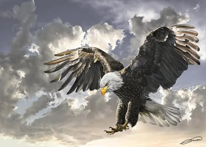 Пазл Art Puzzle Чорно-білий Білоголовий орлан 500 ел. (4167) - фото 2