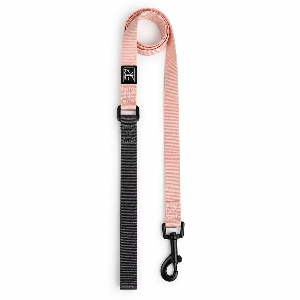 Шлея для собак Nunbell Y-Shape з повідцем, регульована та світловідбивна L, Бежевий - фото 2