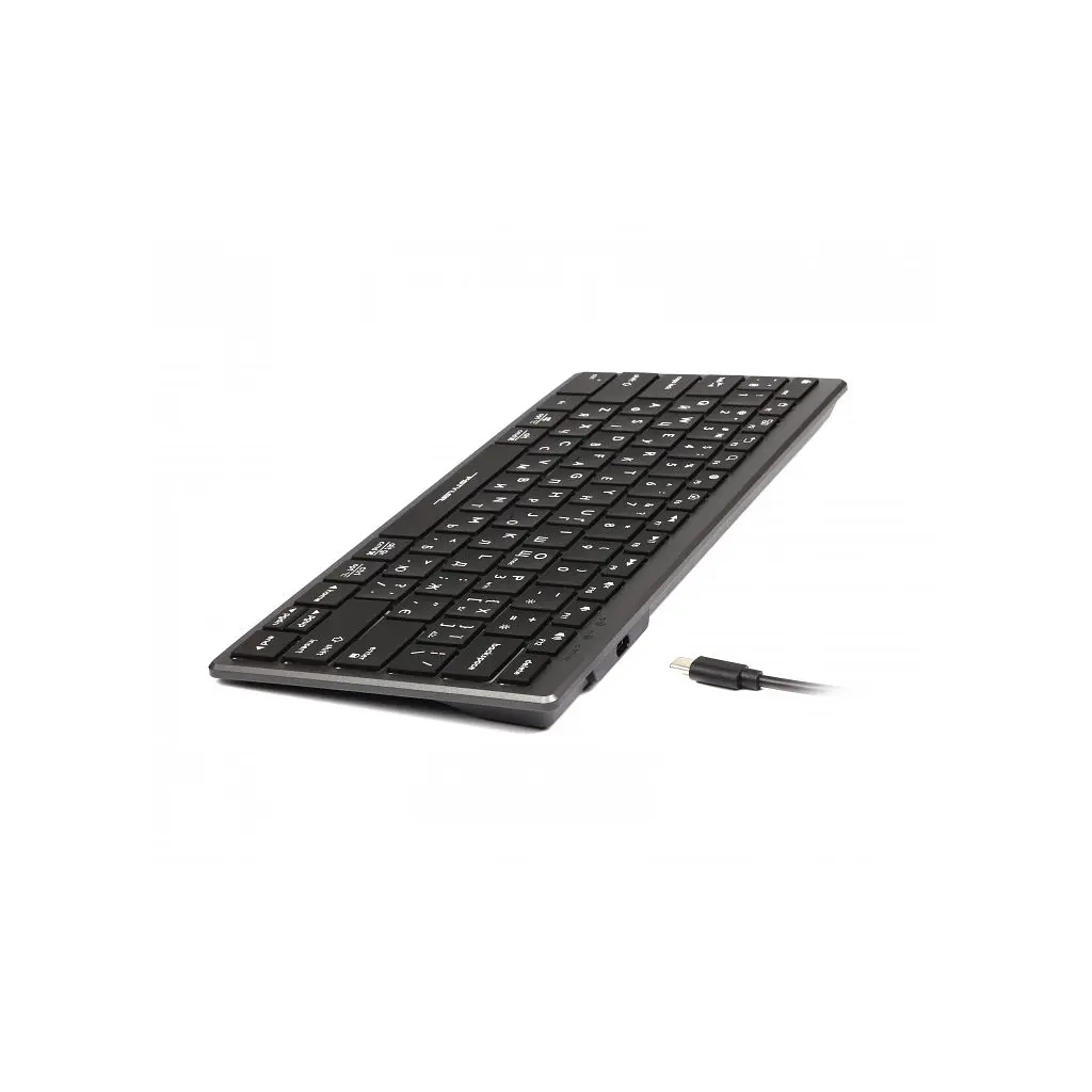 Клавіатура A4Tech FX61 USB Grey - фото 6