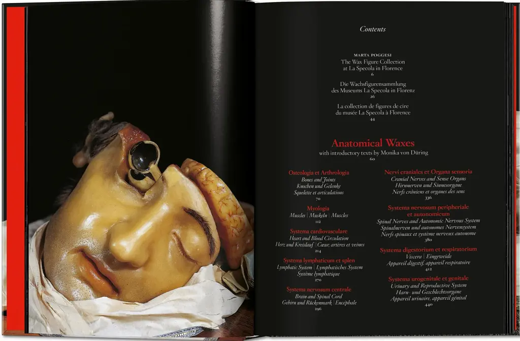 Anatomical Waxes. 45th Edition - фото 2