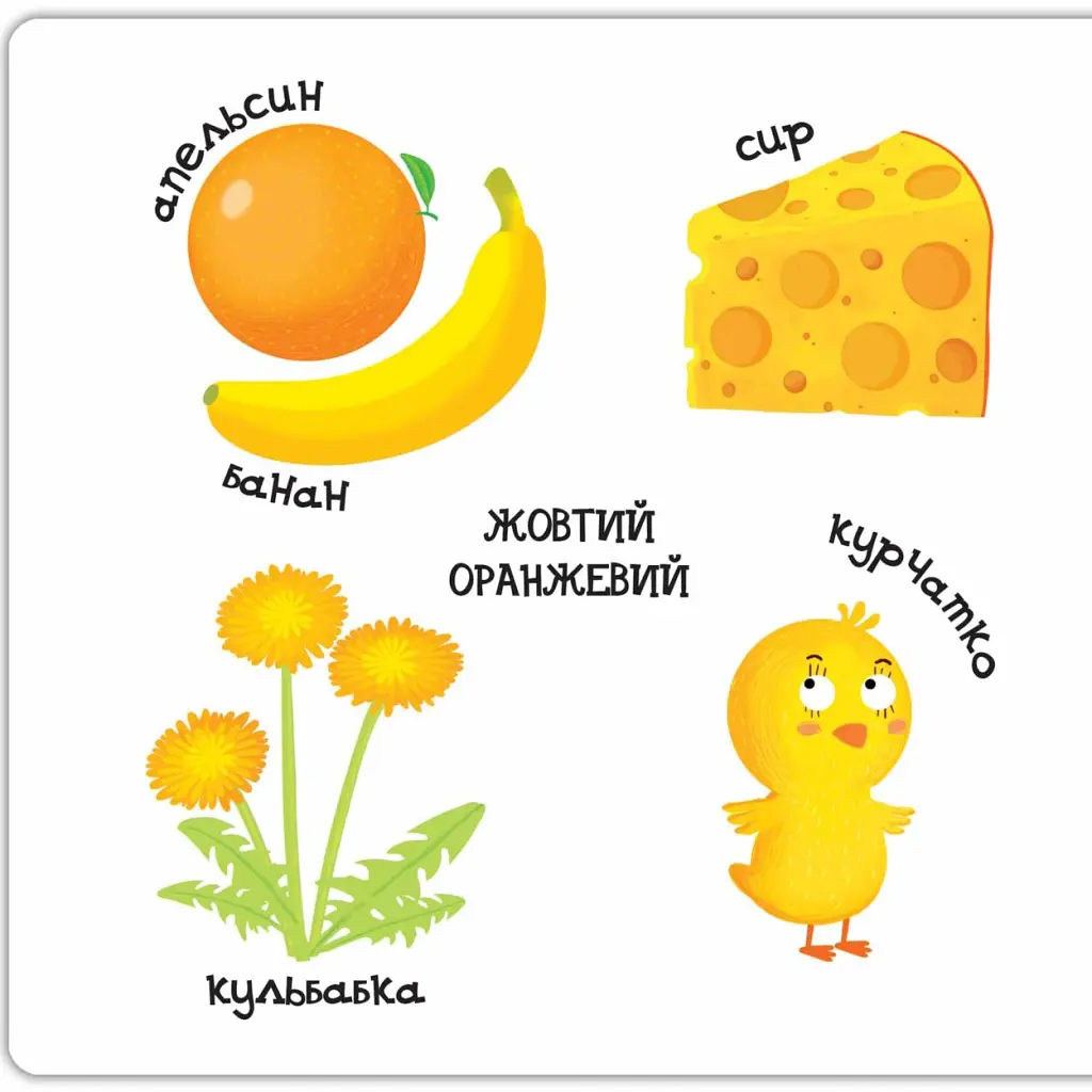 Яскраві кольори. Сторінки-цікавинки - Василь Федієнко - фото 4