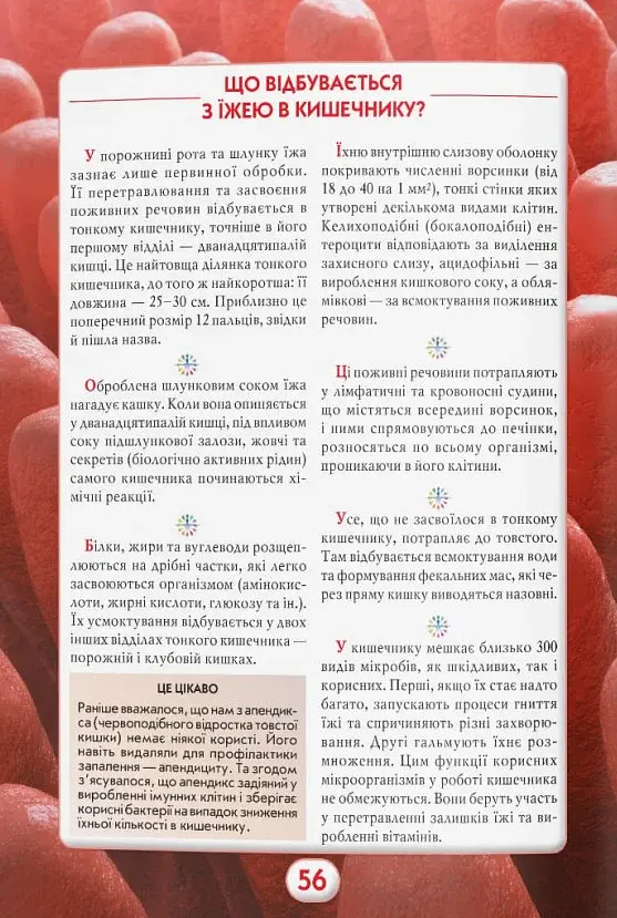 Ви маєте це знати. Тіло людини - фото 13