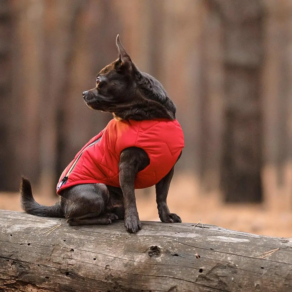 Жилет Pet Fashion E.Vest для собак, розмір SM, червоний - фото 5