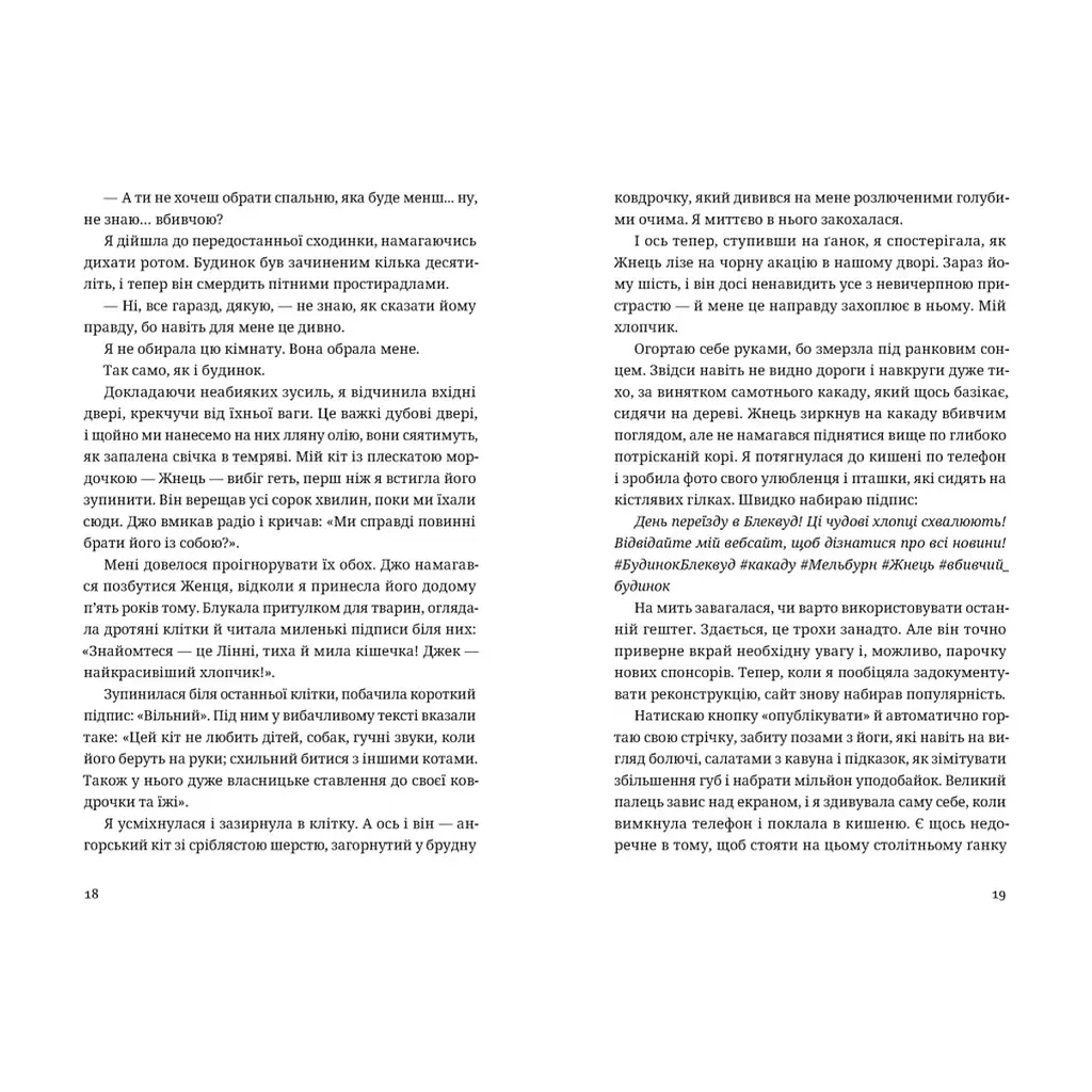 Книга Незнайомець нагорі - Ліза М. Матлін Видавництво Старого Лева (9789664484173) - фото 4