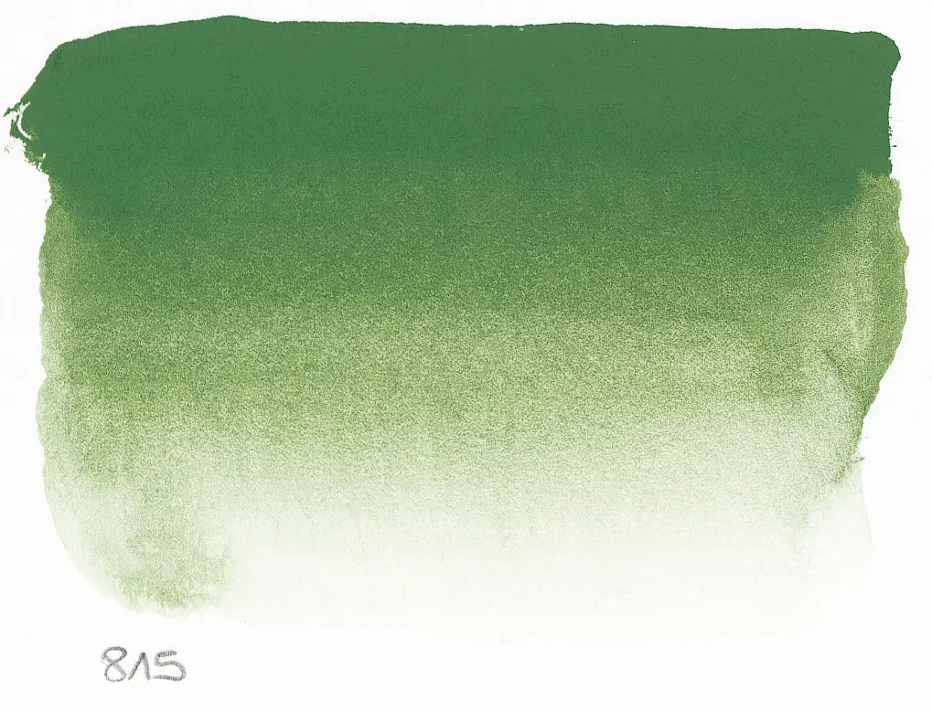 Акварельна фарба Sennelier, полукювета, S3, Зелений оксид хрому (Chromium Oxide Green) - фото 2
