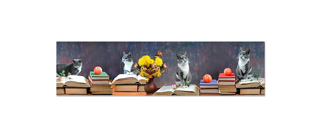 Вініловий кухонний фартух Книги жоржини коти наклейка ПВХ Абстракція Сірий 65х250 см Happy Pocket Z180414 - фото 7