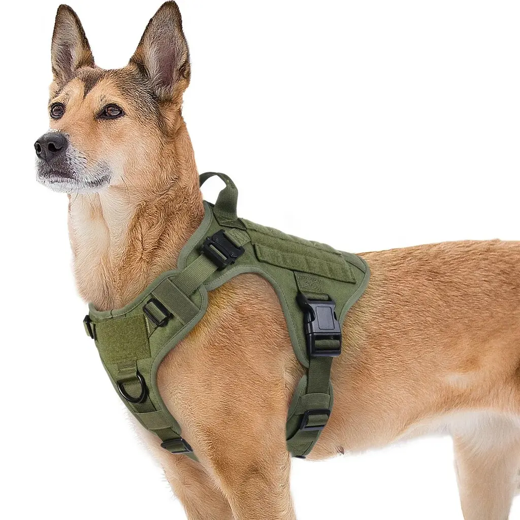 Шлейка для собак Harness K9 Long, металева пряжка фастекс і система MOLLE, Зелений, XL - фото 3